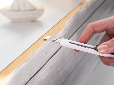 Vorschaubild f&uuml;r Schritt 5