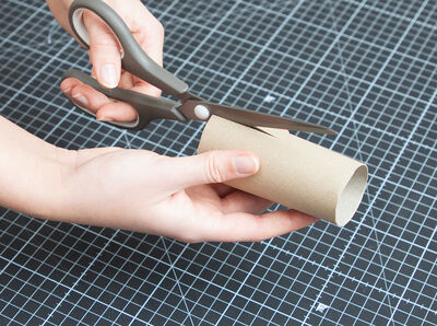 Schere halbiert Klopapierrolle l&auml;ngs.