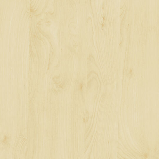 Klebefolie Birke image number null