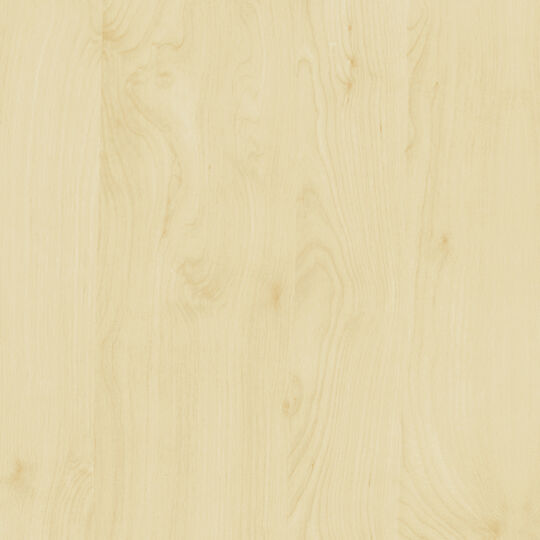 Klebefolie Birke image number null