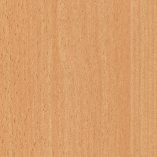 Klebefolie Rotbuche image number null